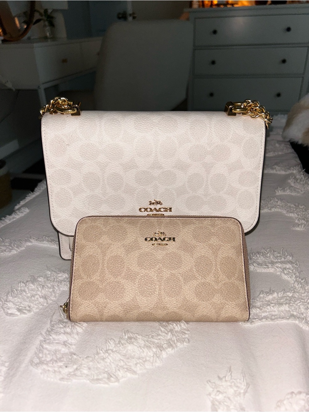 Coach Purse and Wallet